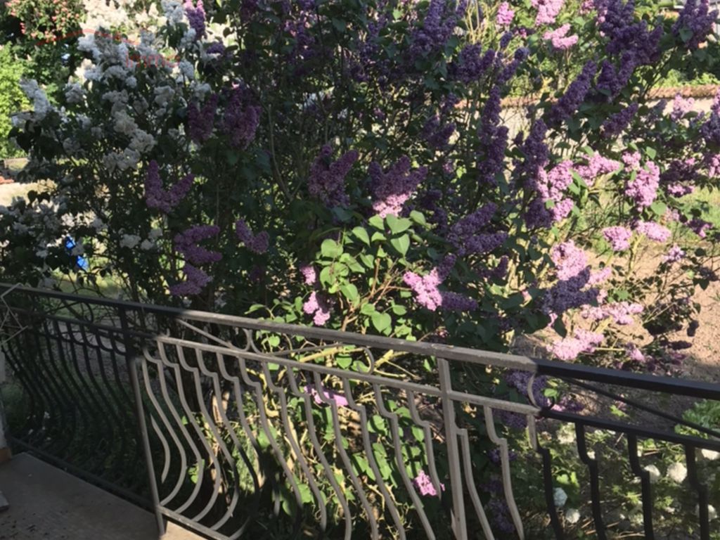 Maison individuelle, de 124m², construite en 1972. - Vuko fleurs