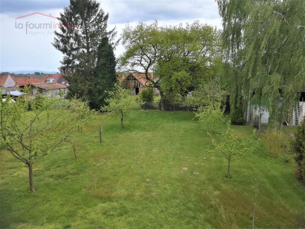 Au calme dans un écrin de verdure superbe maison d'architecte  - Vue sur terrain