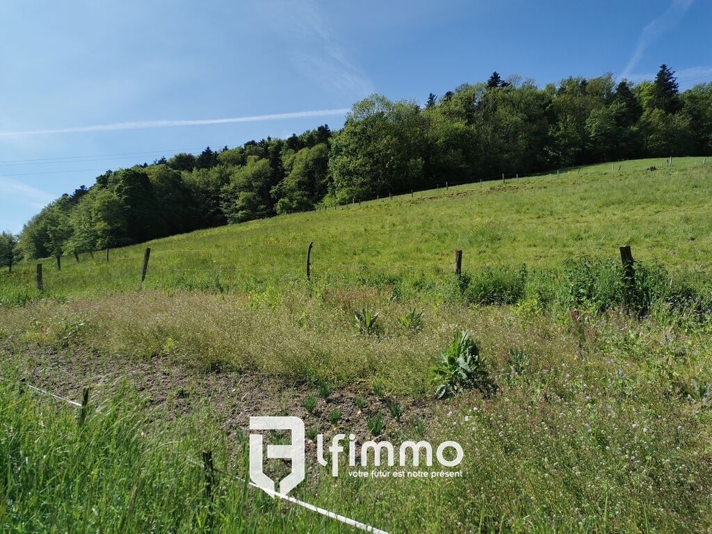 Terrain de 31,8 ares dont 18,13 ares constructibles - Img 20210528 103637