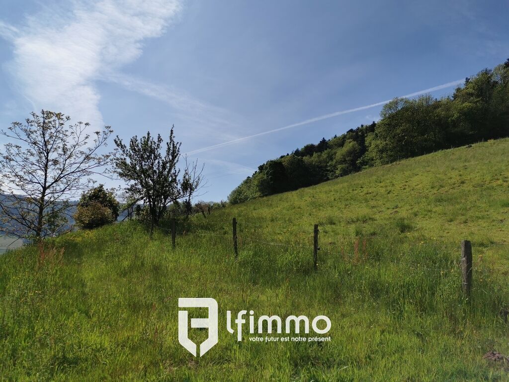 Terrain de 31,8 ares dont 18,13 ares constructibles - Img 20210528 103535