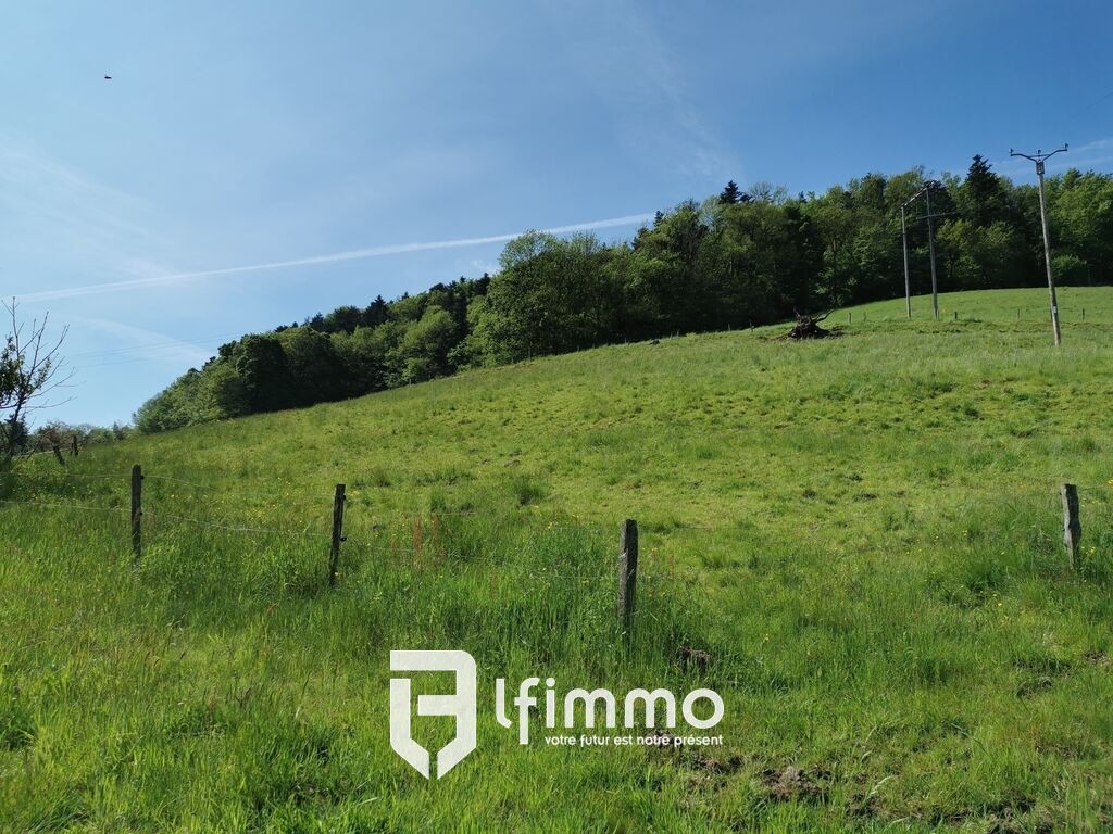 Terrain de 31,8 ares dont 18,13 ares constructibles - Img 20210528 103533