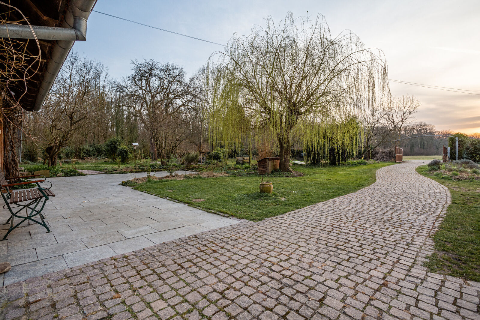 A l'abri des regards et à environ 15 minutes du centre de Strasbourg - Fm la wantzenau - saule terrasse et allée 1 20220325