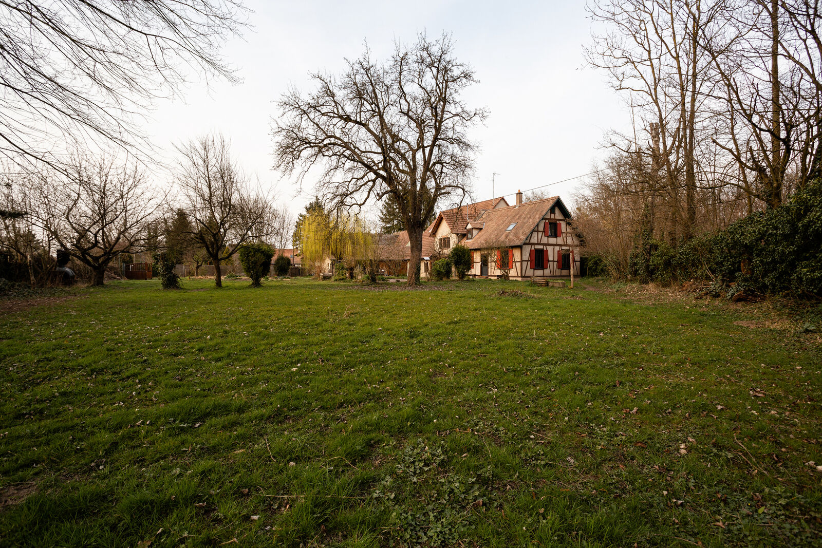 A l'abri des regards et à environ 15 minutes du centre de Strasbourg - Fm la wantzenau - vue maison depuis fond de parcelle 1 20220325