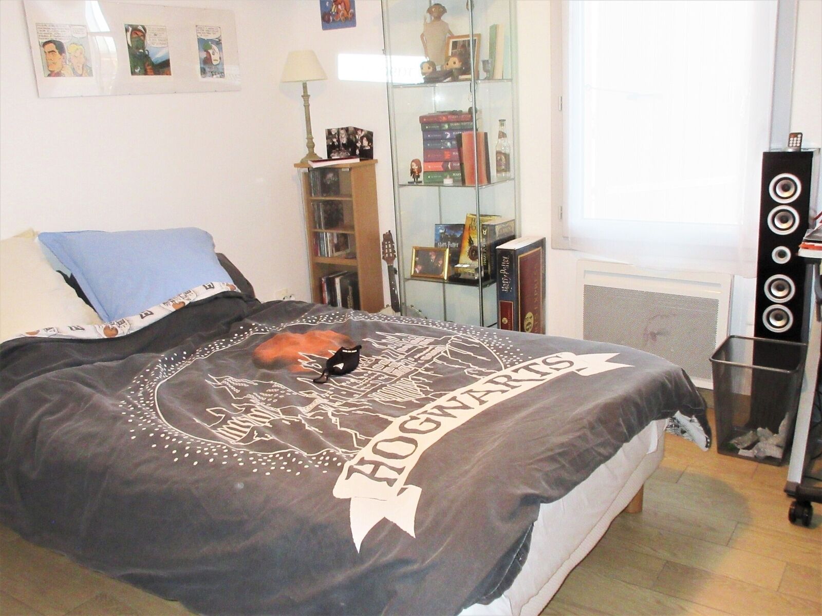 Contemporaine de plain-pied - Img 1269  2