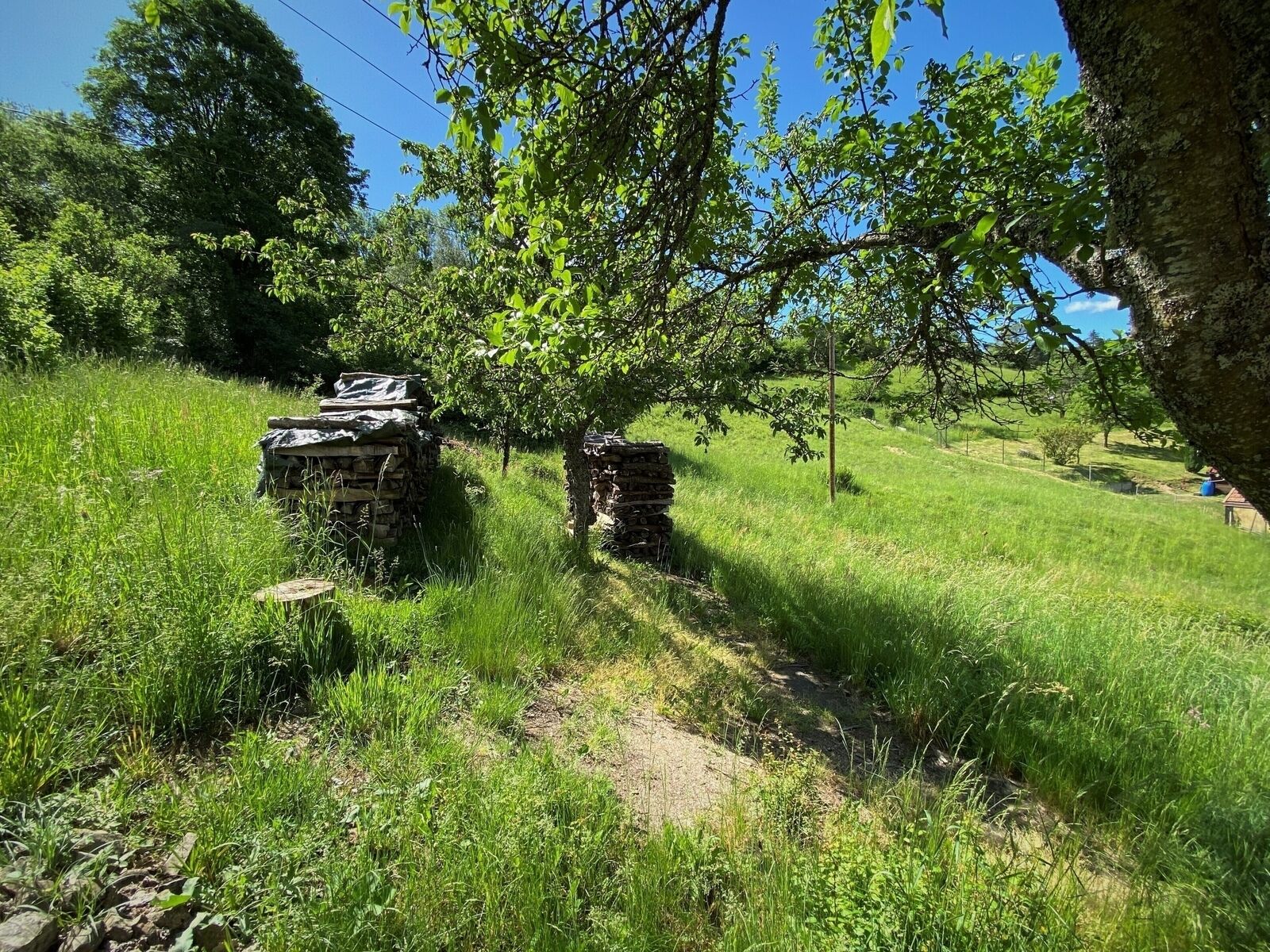 Maison de Village proche Schirmeck à Wildersbach - Img 1052