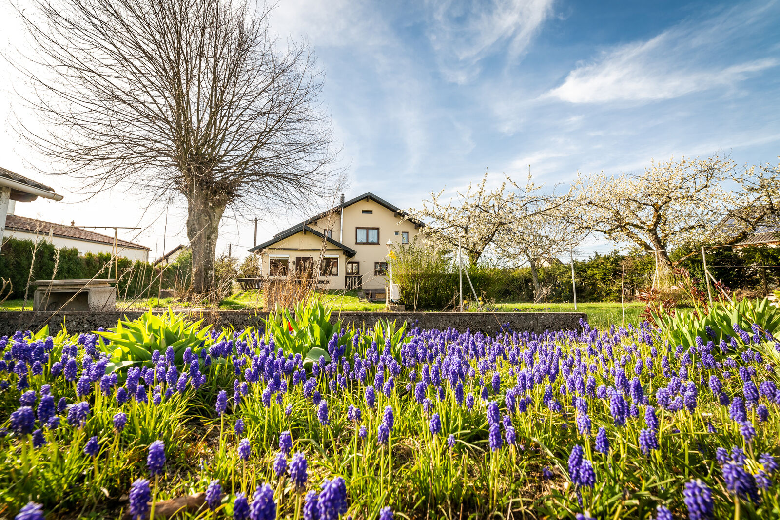 Maison spacieuse et lumineuse - Facade arrière