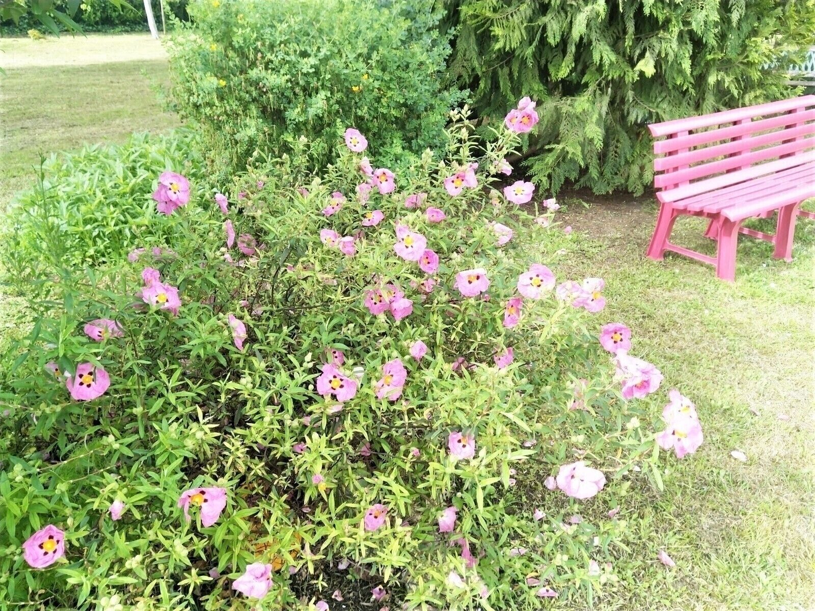 Spacieuse maison familiale - Img 20200428 103752  2