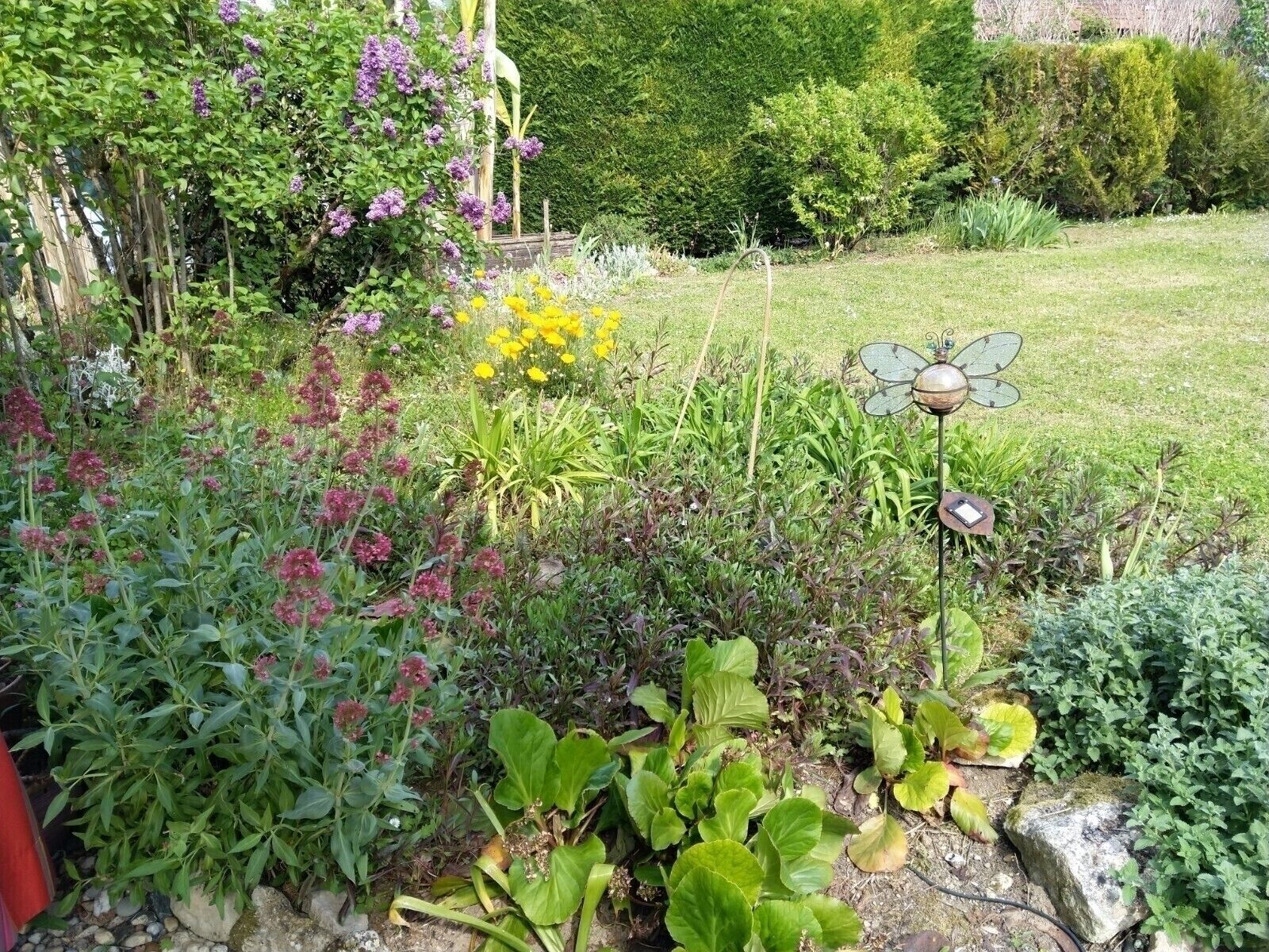 Spacieuse maison familiale - Img 20200415 160431