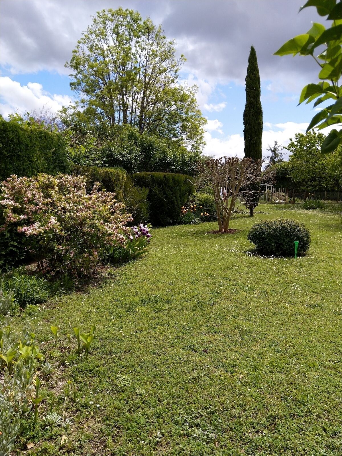 Spacieuse maison familiale - Img 20210510 133512