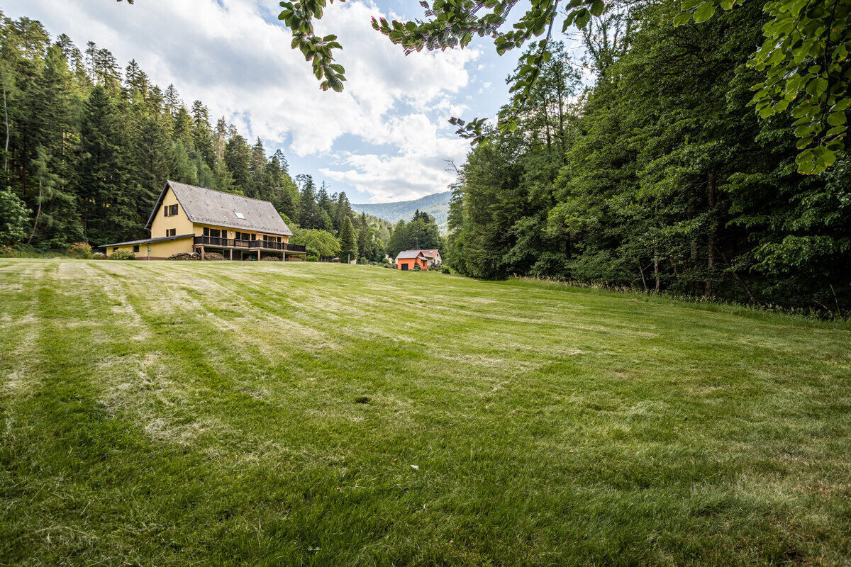 Belle propriété d'environ 80 ares  - Oberhaslach de la hasel à la forêt 20220615