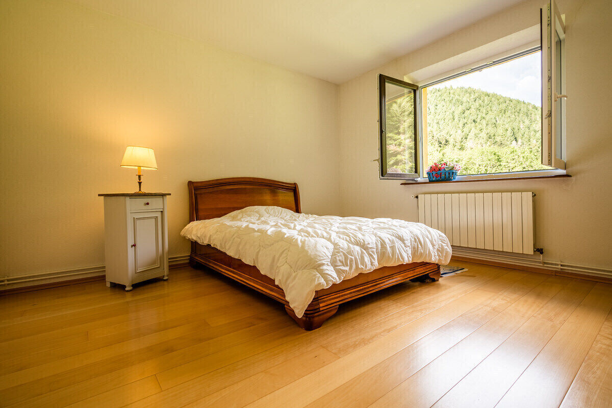 Belle propriété d'environ 80 ares  - 2022-05-31 104 rue du nideck oberhaslach-29