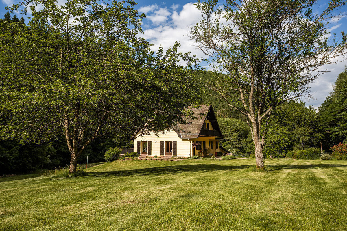 Belle propriété d'environ 80 ares  - 2022-05-31 104 rue du nideck oberhaslach-54