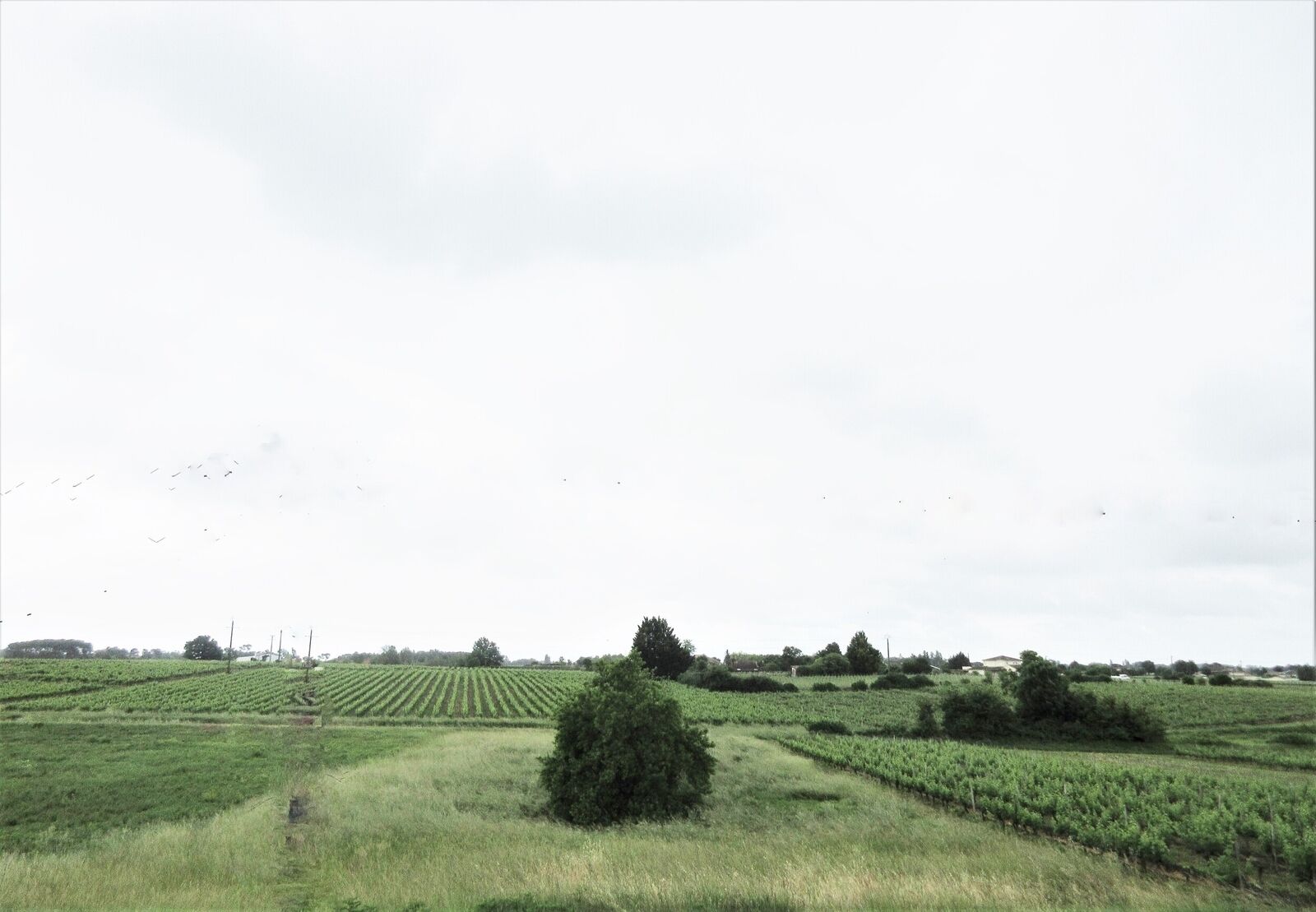 Grande maison en pierre  - Img 1453  3