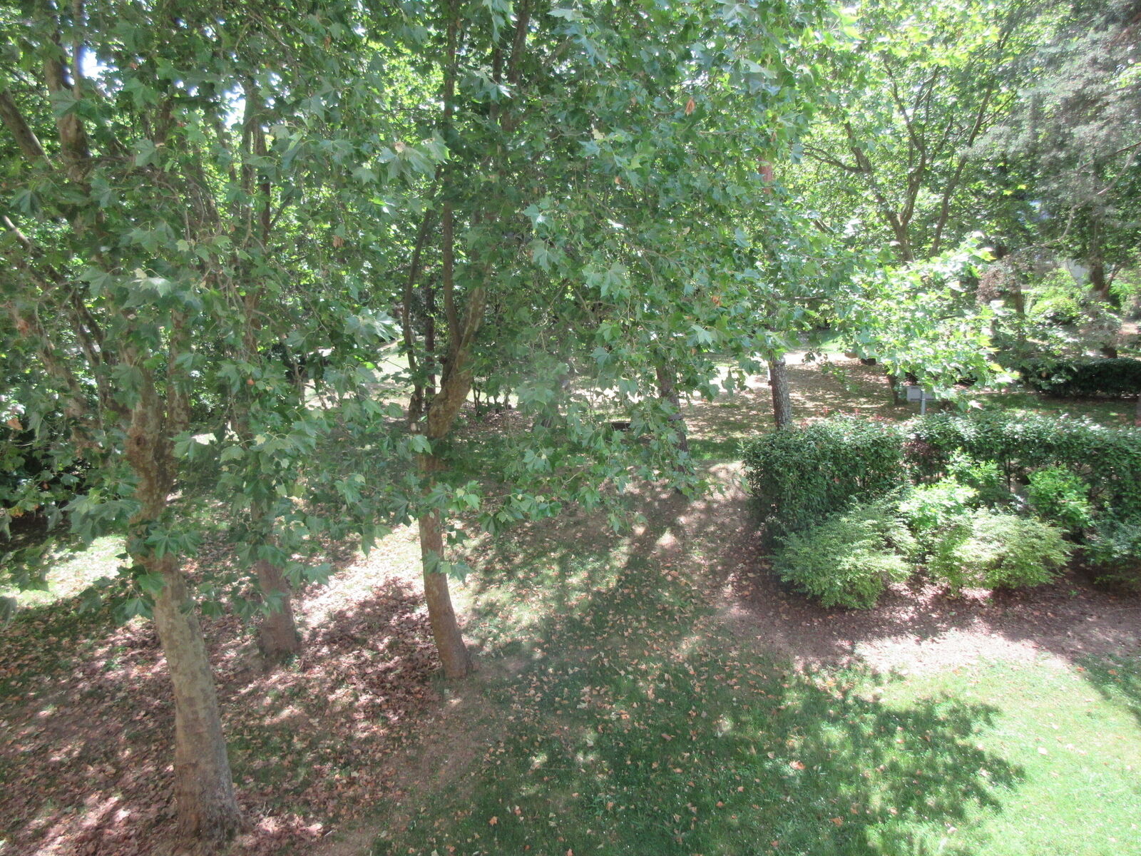 Bel appartement  - Img 1542