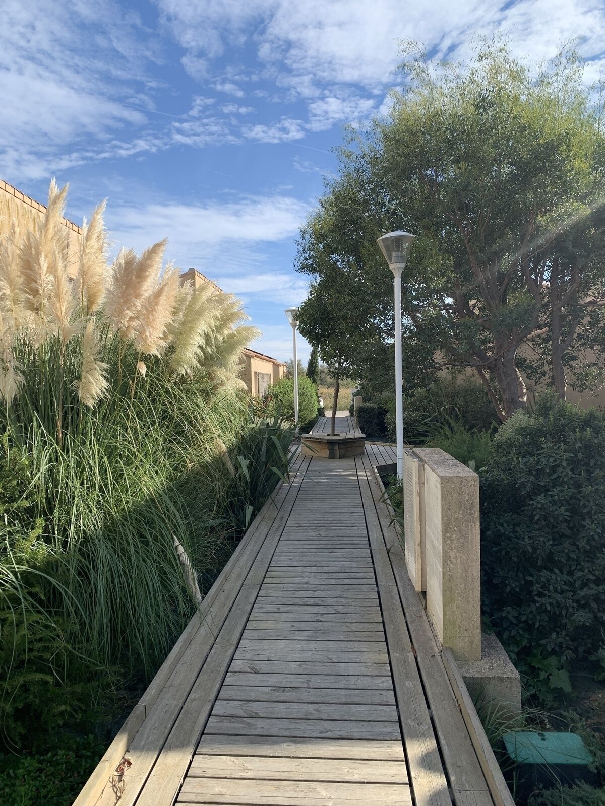 Maison mitoyenne de 5 pièces à Salin de Giraud.  - Espace vert