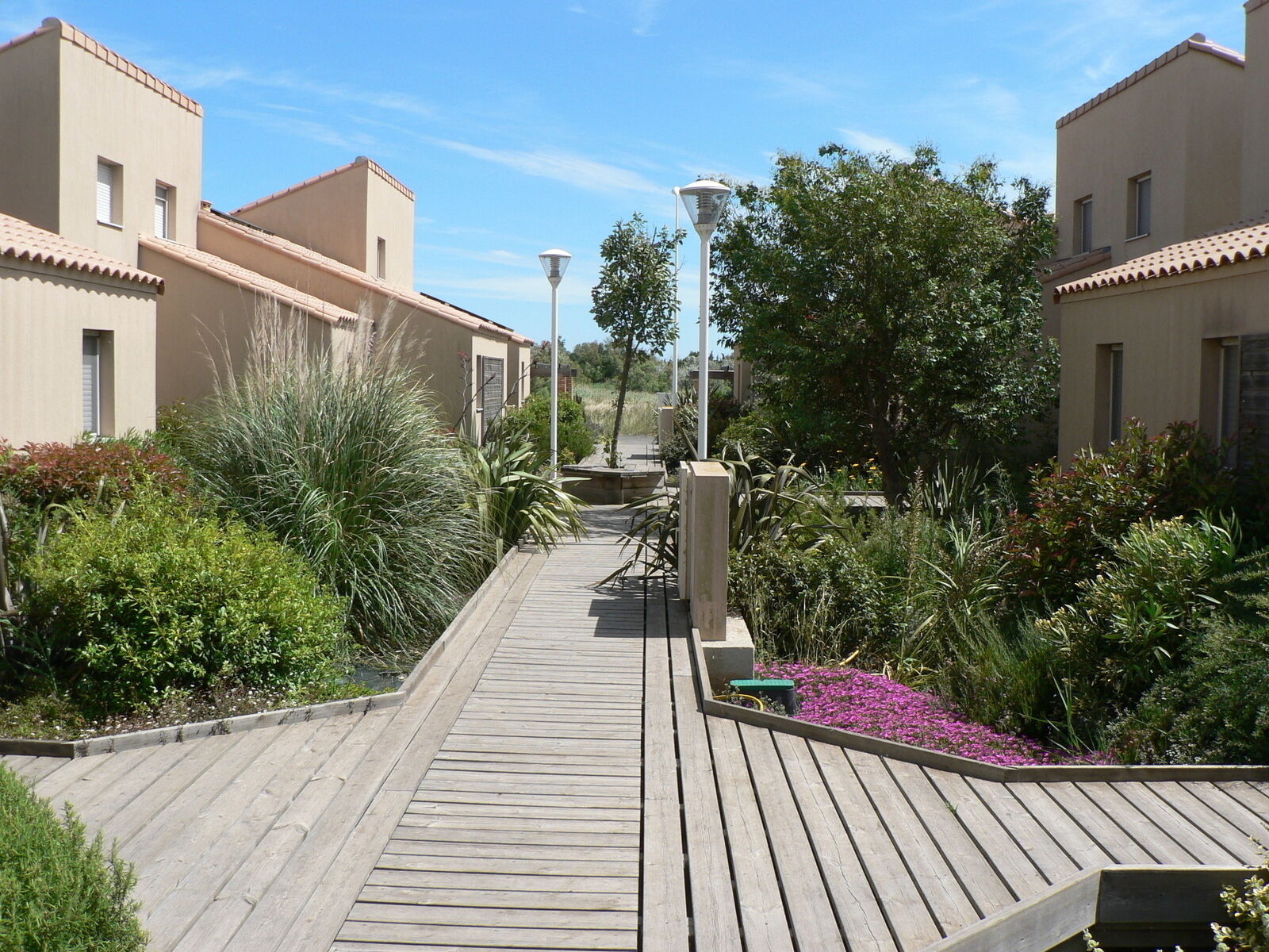 Maison mitoyenne de 5 pièces à Salin de Giraud.  - Les espaces verts