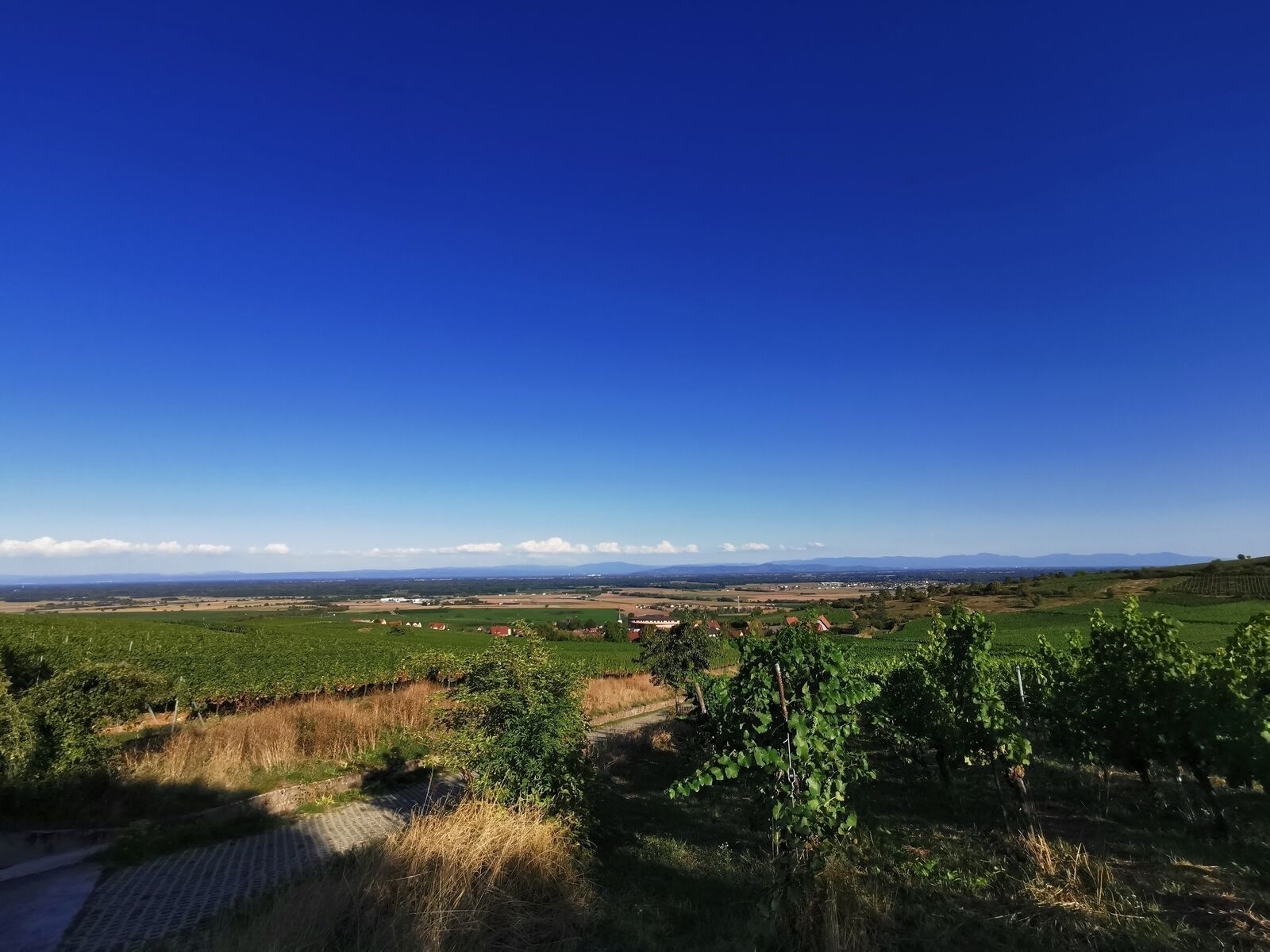 Maison de 6 pièces – 123m² avec grange sur un terrain de 4,74ares - 3 - Maison Rorschwihr - Lucas Miclo - Conseiller immobilier Illkirch