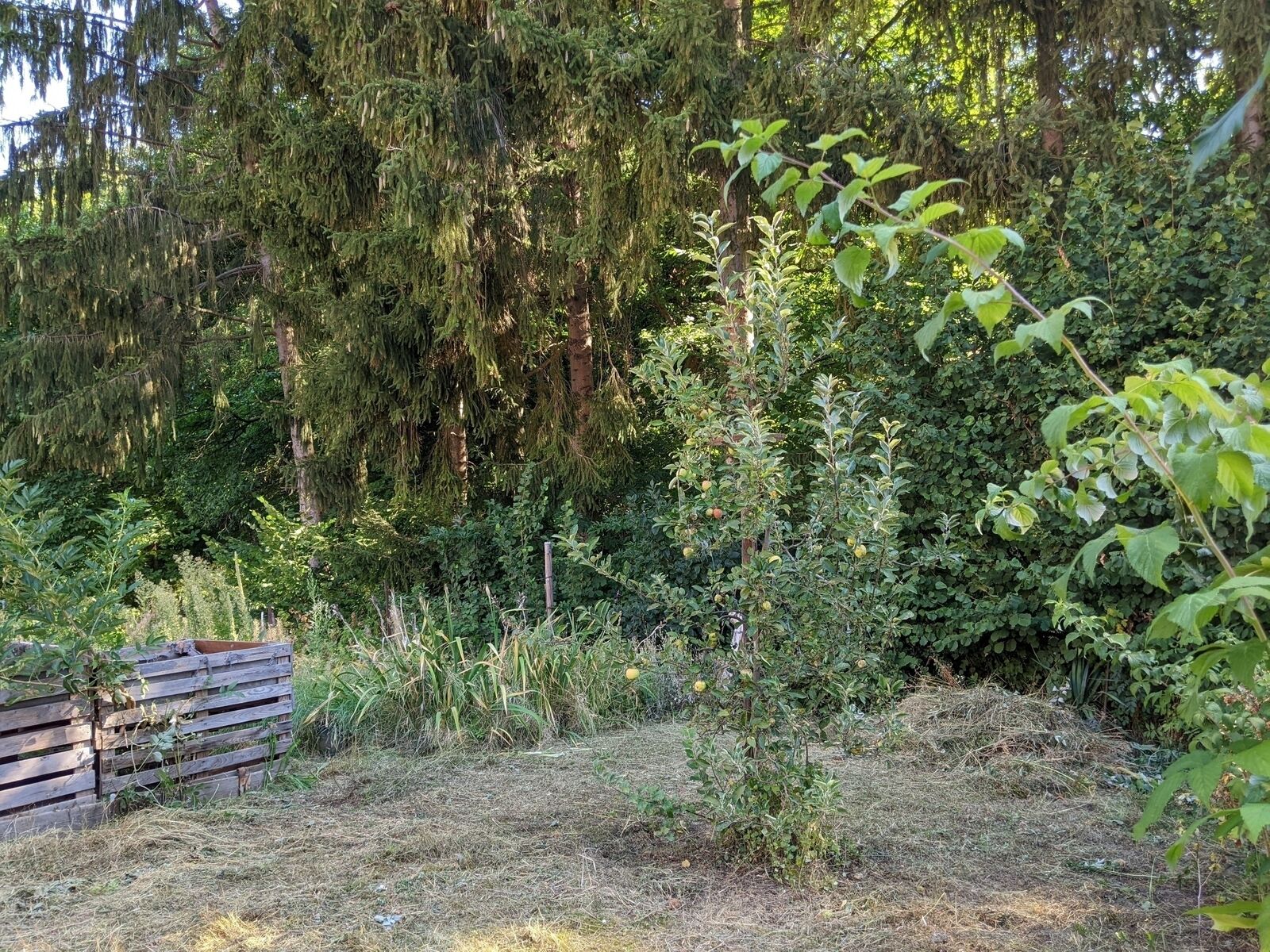 Maison 6 pièces 145 m²  - Pxl 20220811 074904177