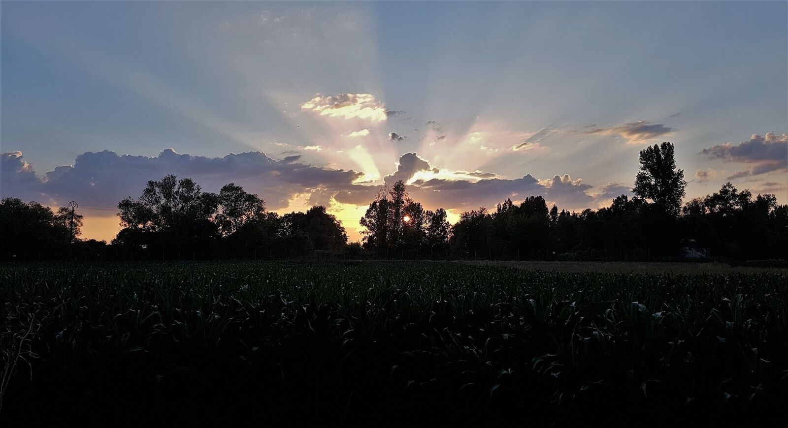 --"Vendu"--  - 20180616 210242 1