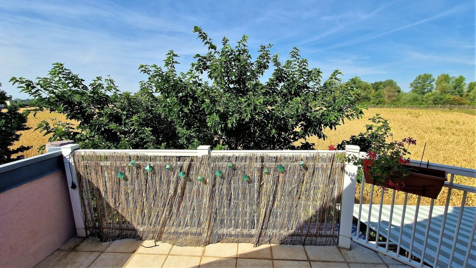 --"Vendu"--  - 20220824 110137 1