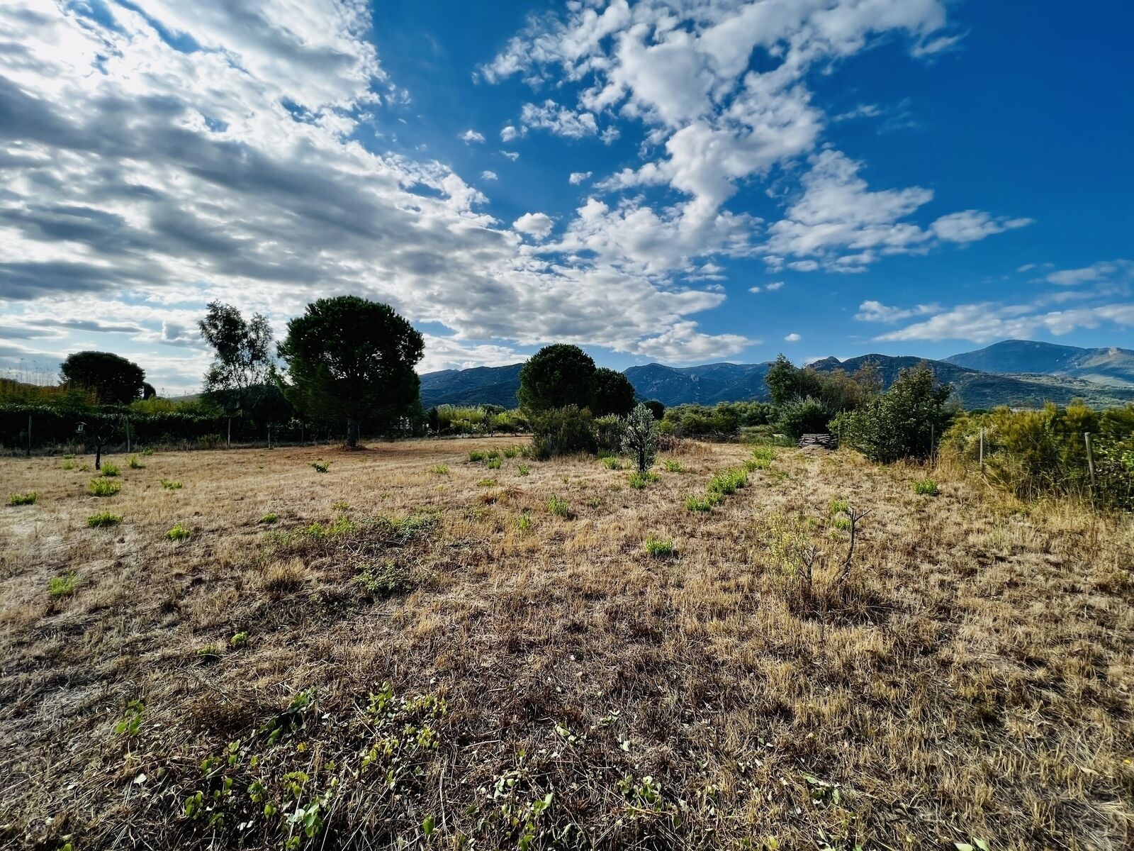 Terrain agricole - 8 058 m2 - Saint André - F17e2c0e-0ed8-4fcb-a3ca-1f6205c7902c
