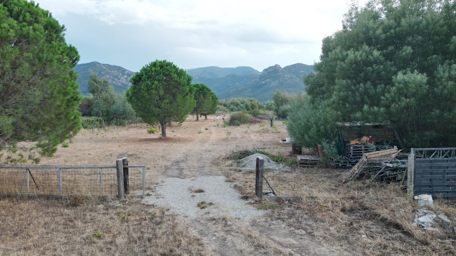 Terrain agricole - 8 058 m2 - Saint André - Dji 0044