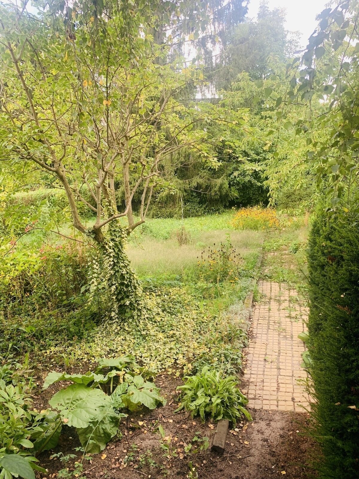 Maison de 110m2 sur plus 6 ares de terrain - Jardin