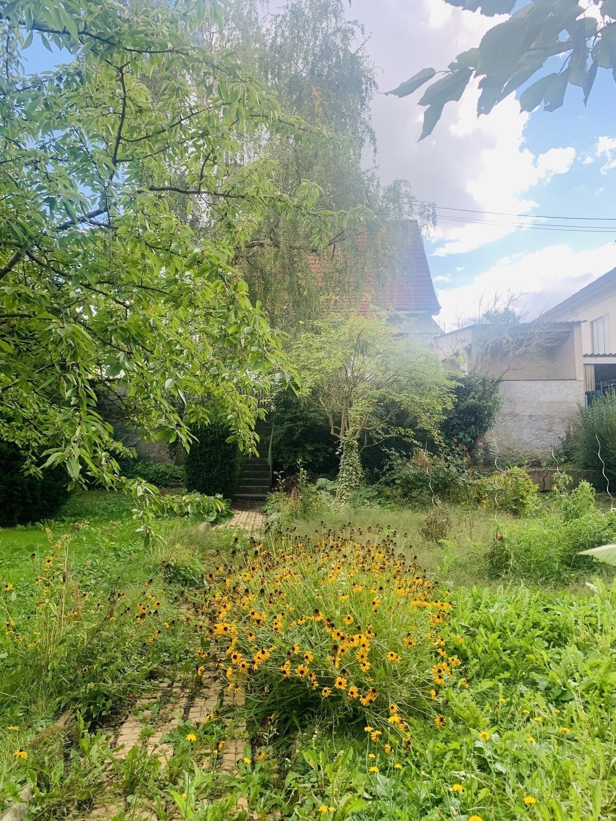 Maison de 110m2 sur plus 6 ares de terrain - Jardin