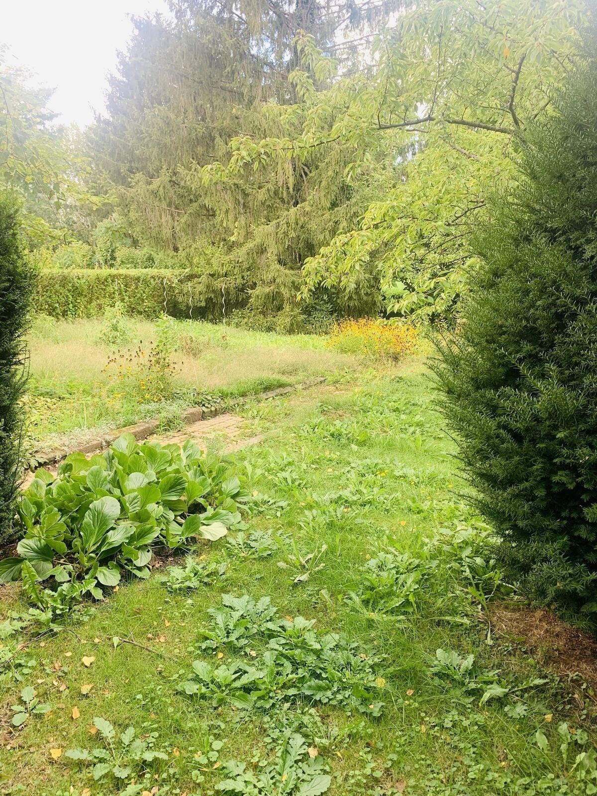 Maison de 110m2 sur plus 6 ares de terrain - Jardin