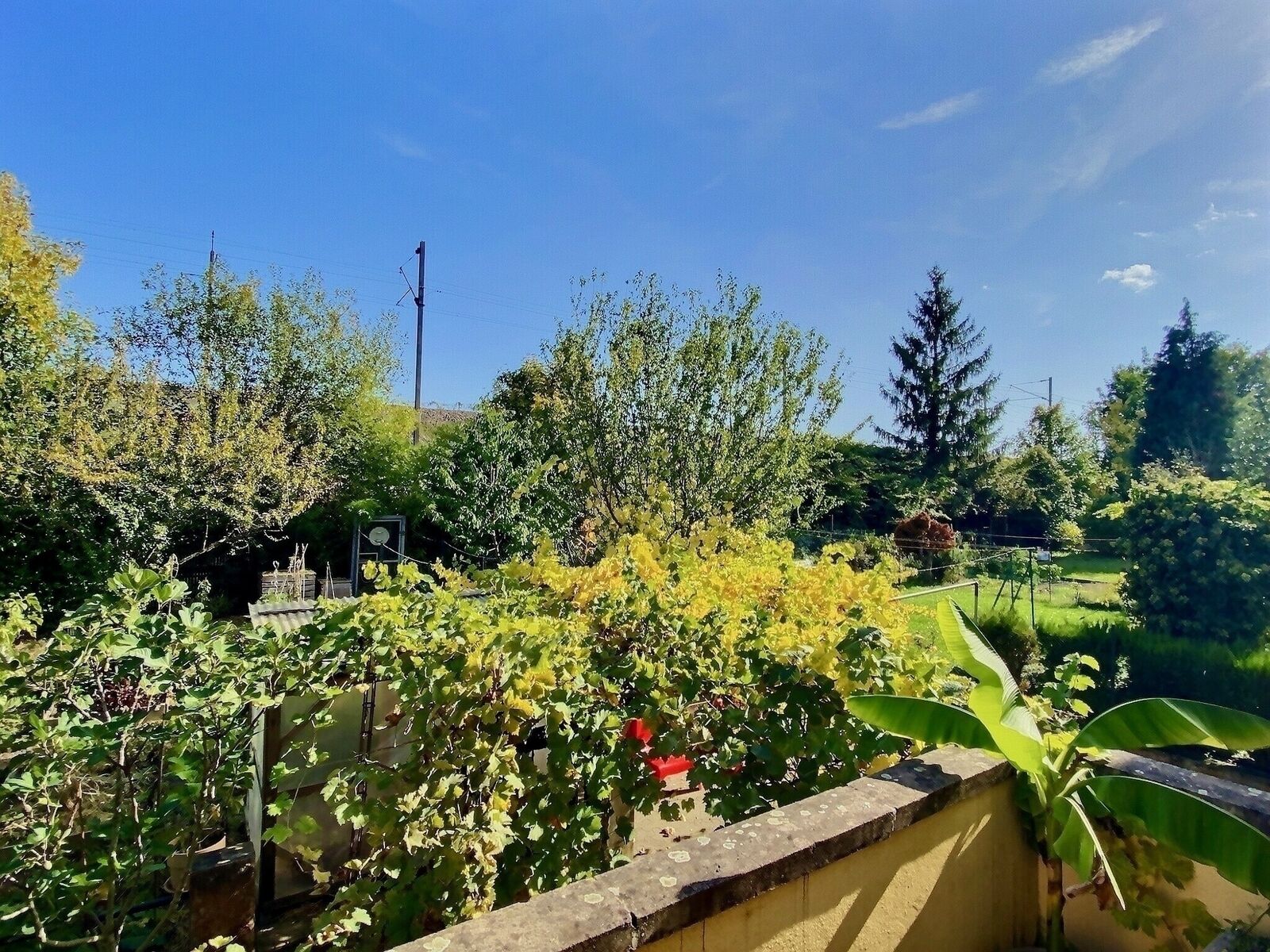 Opportunité à saisir  - Exposio 127121744