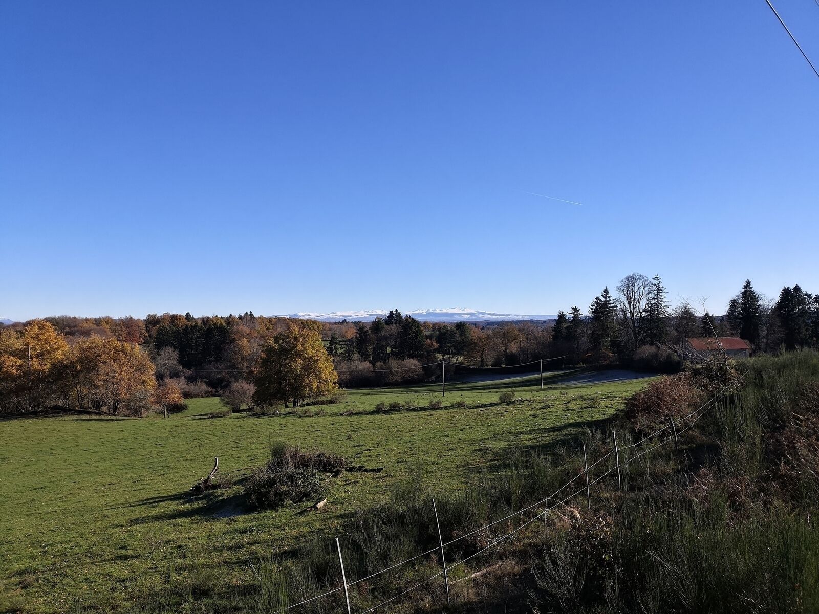 Il est déjà trop tard pour cette ferme Creusoise - Img 20221206 140135