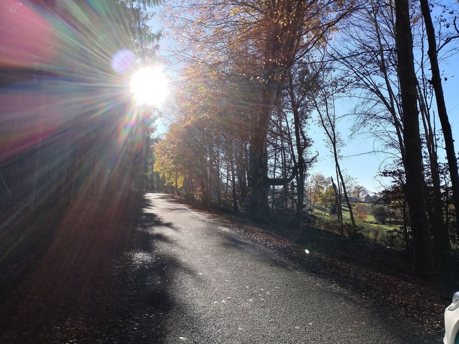 Il est déjà trop tard pour cette ferme Creusoise - Img 20221206 141009