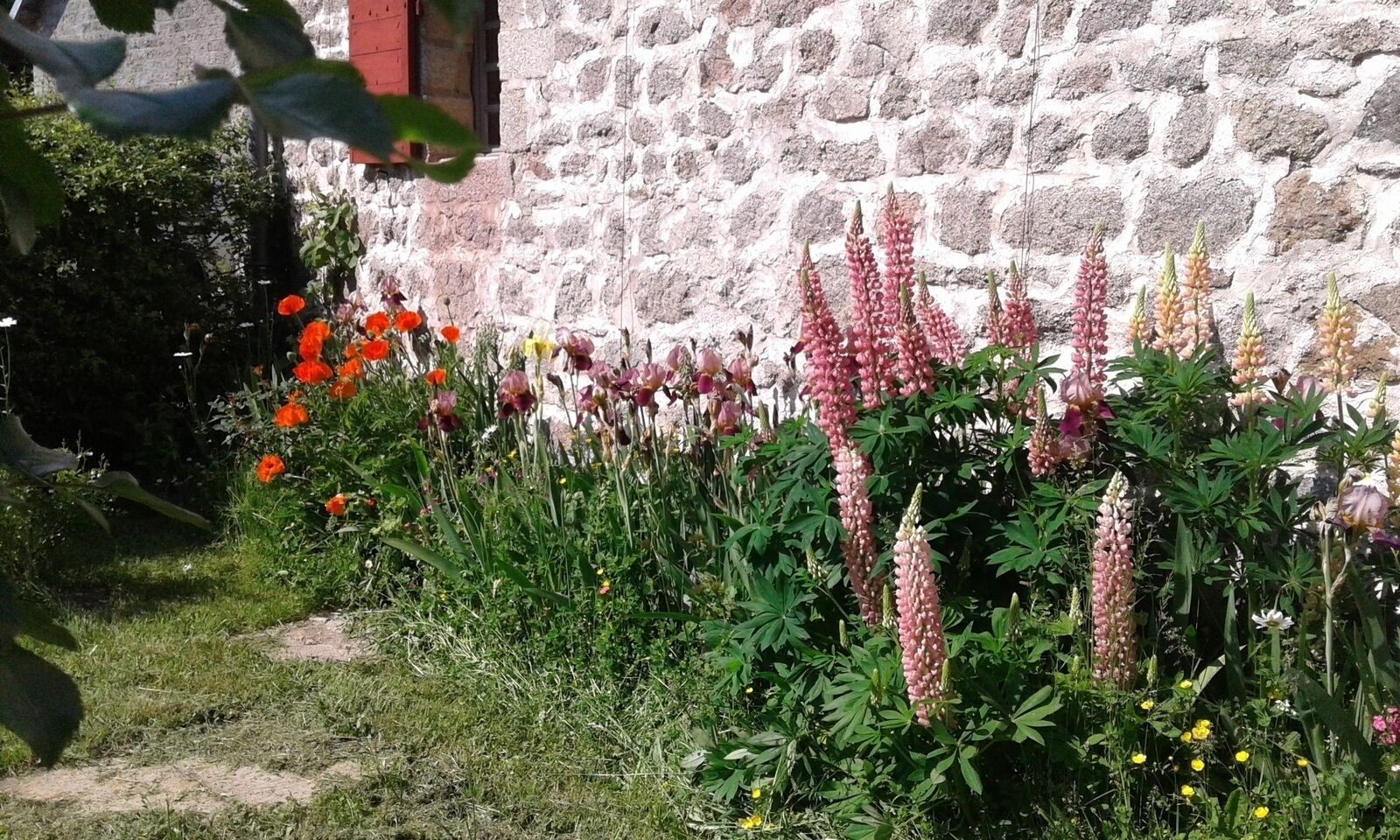 Il est déjà trop tard pour cette ferme Creusoise - 20210611 051225