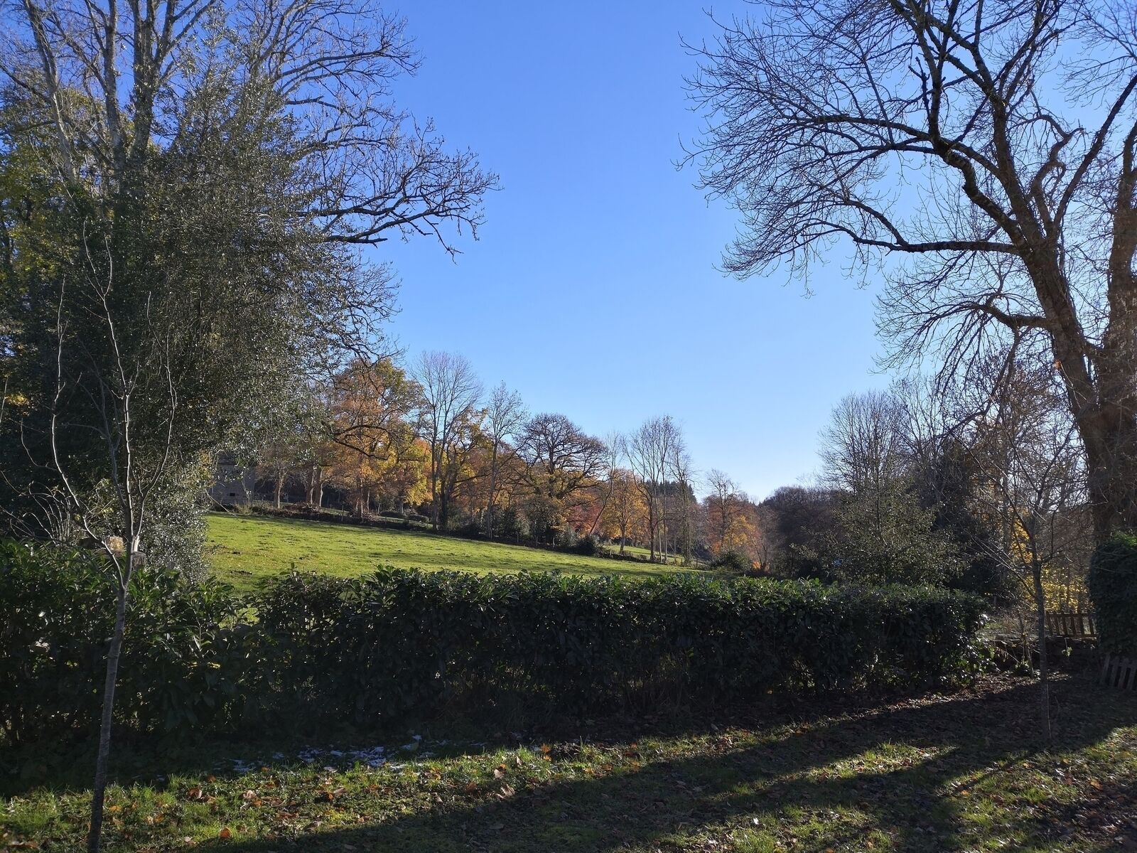 Il est déjà trop tard pour cette ferme Creusoise - Img 20221206 145139
