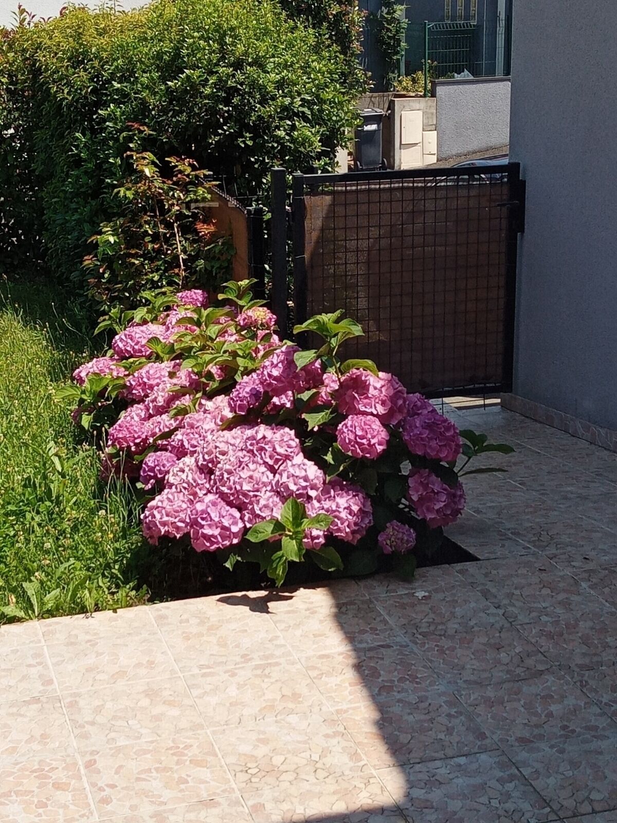 Il est déjà trop tard pour cette maison récente ! - 2981841691654084463