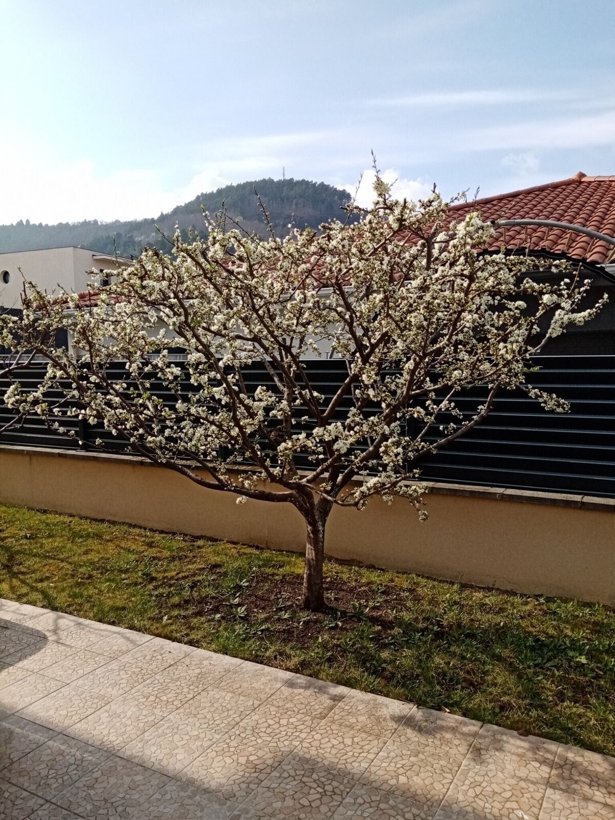 Il est déjà trop tard pour cette maison récente ! - 4910050662848497254