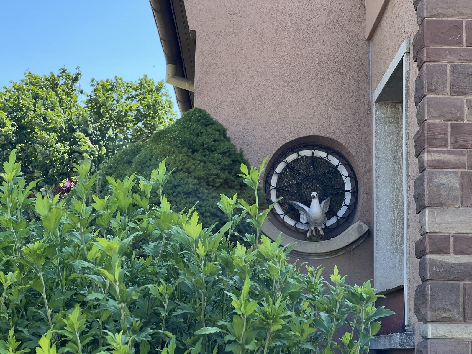 A saisir Maison à Strasbourg/ Cronenbourg  - Photo nv