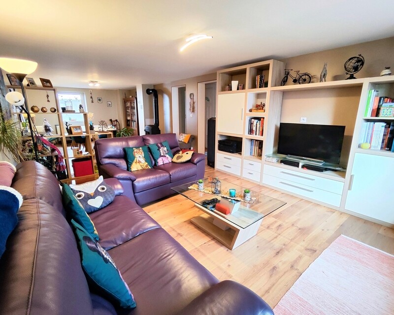 Grand duplex 3 chambres garage à Uffholtz (68700) - salon