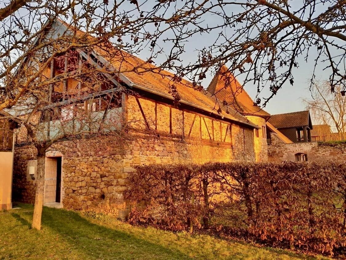 Ancienne grange joliment réhabilitée en habitation - 329048500 6258049774225492 8251079892044361845 n