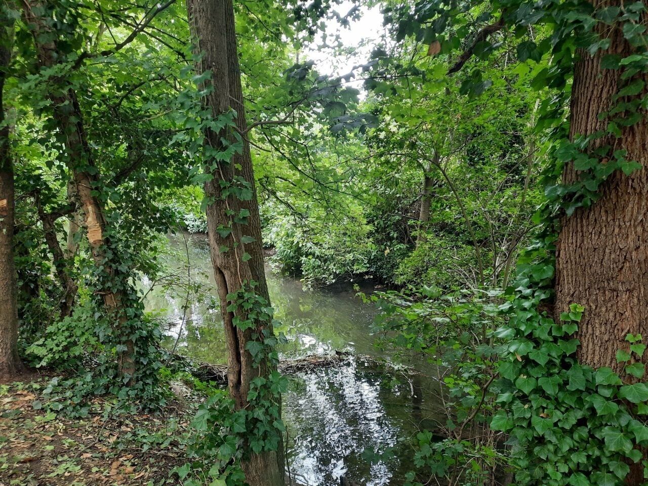 Beau 4/5 pièces, 120 m² env., à Neudorf - Photo 2023-07-14 14-11-50  2