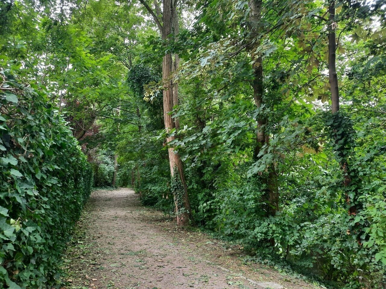 Beau 4/5 pièces, 120 m² env., à Neudorf - Photo 2023-07-14 14-11-50  4