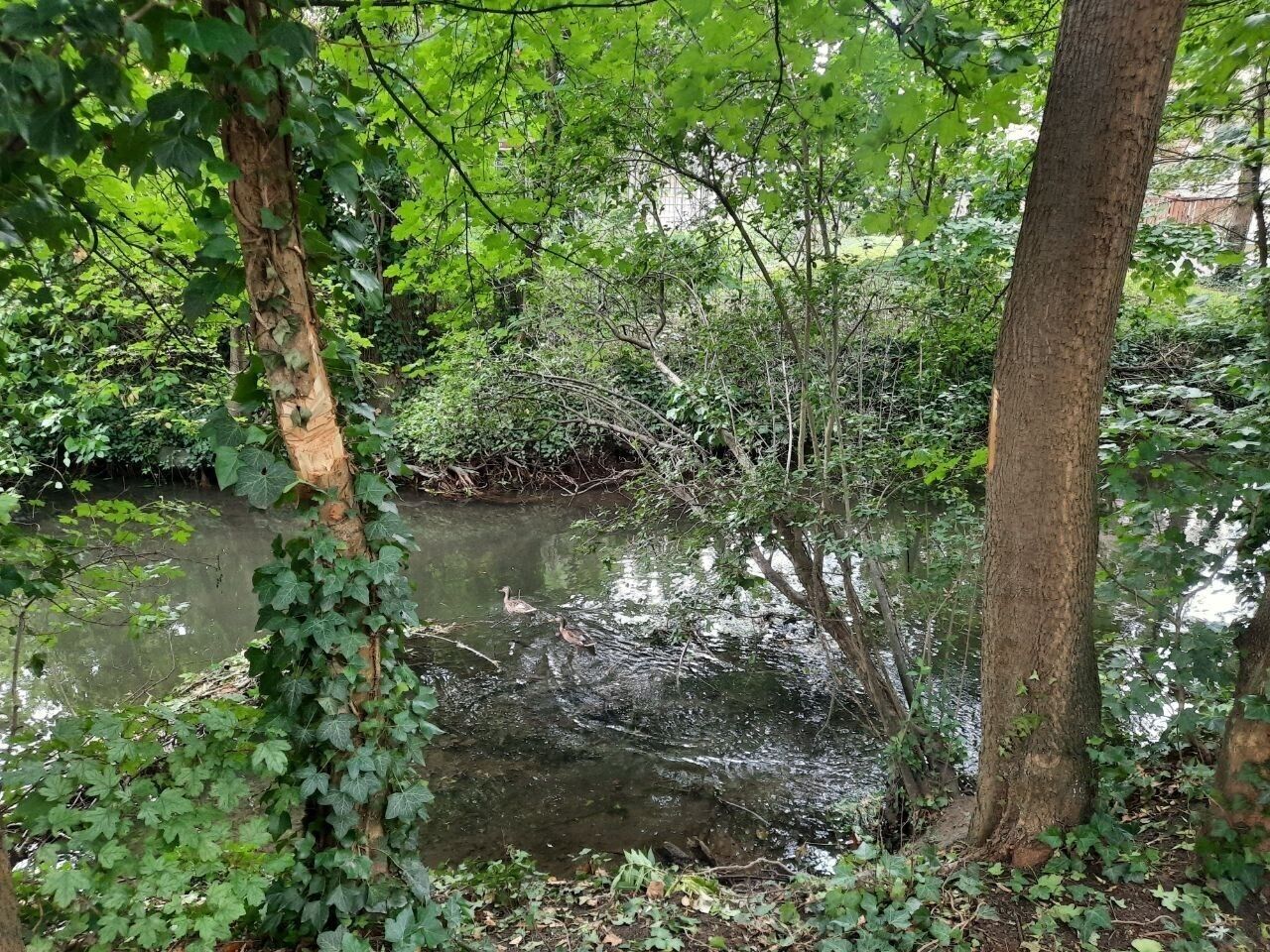 Beau 4/5 pièces, 120 m² env., à Neudorf - Photo 2023-07-14 14-11-50  3