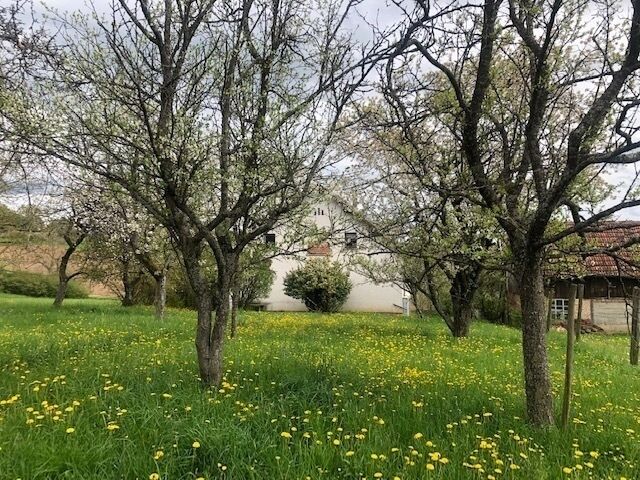 Belle maison à fort potentiel à Woerth - Vue sur l ar maison isa 1
