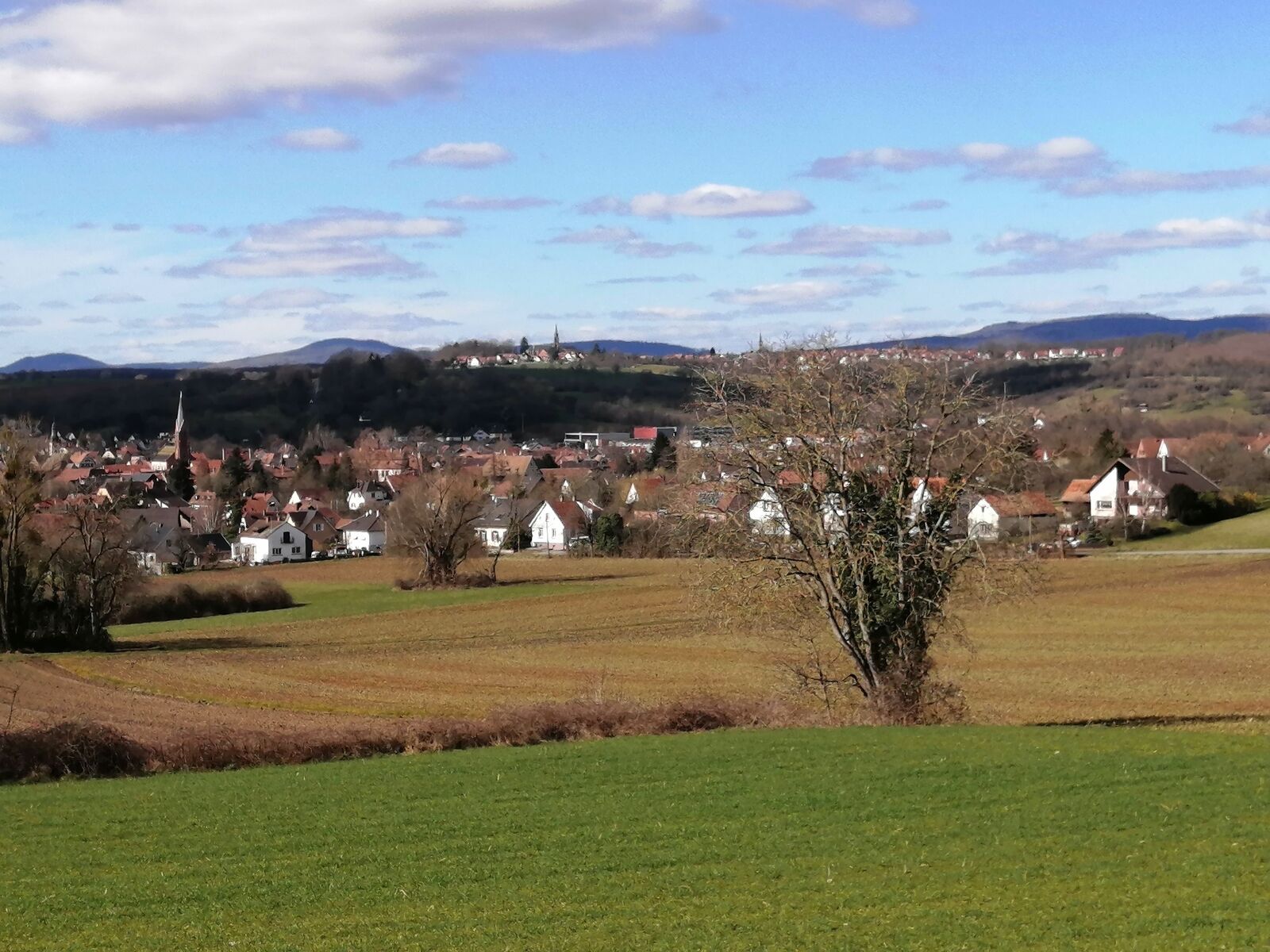 Belle maison à fort potentiel à Woerth - Img 20230311 114938