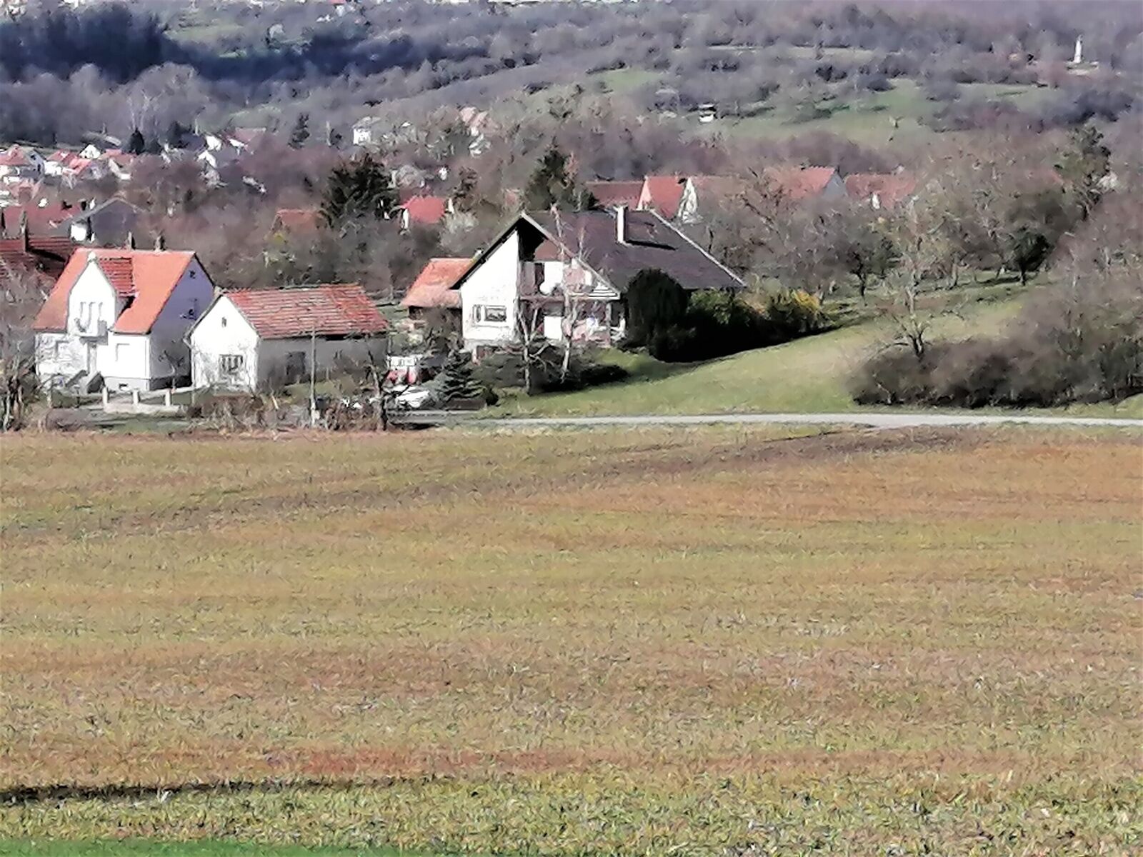 Belle maison à fort potentiel à Woerth - Vue zoomée du parc