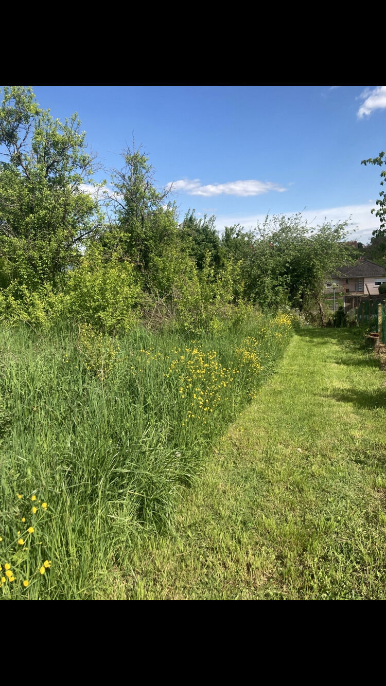 Terrain à bâtir, Secteur Calme, Proche Saint-Avold. - Img 0240 1