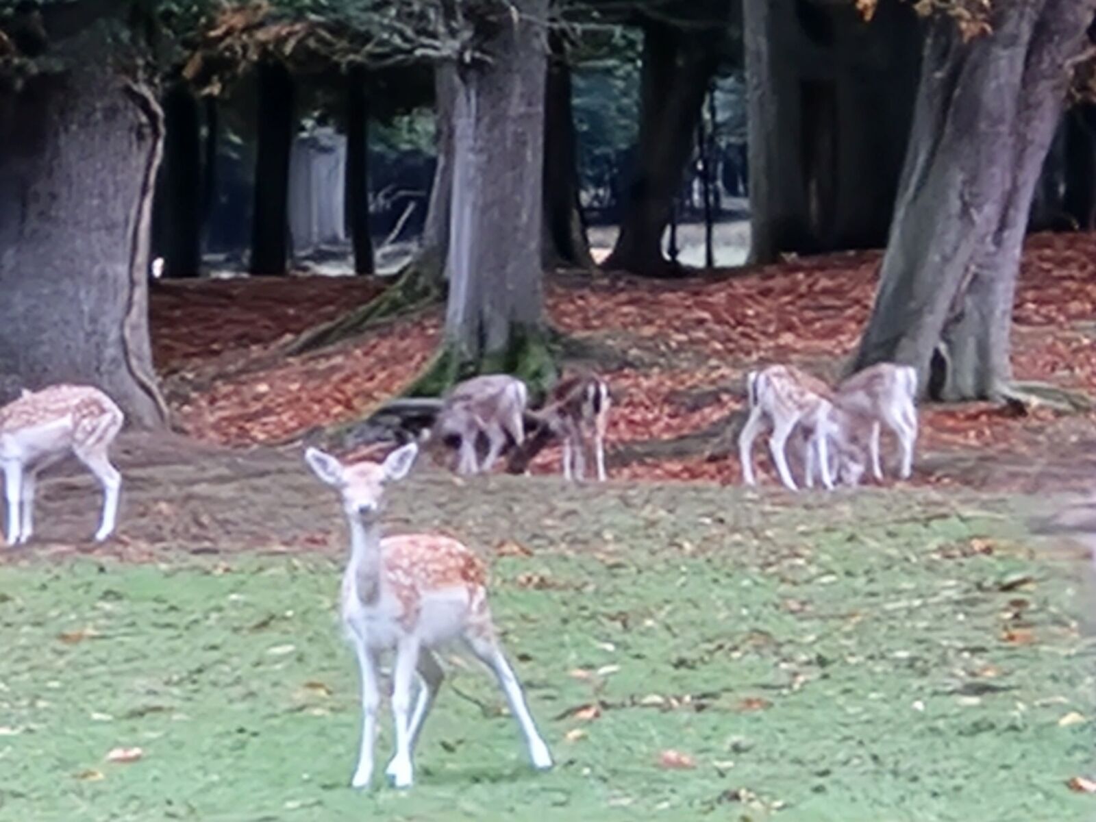 Appartement de 83 m² en périphérie de Tournan en brie - 20220927 191655