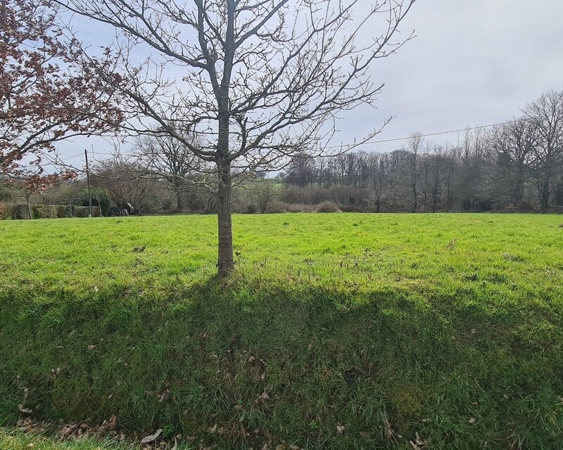 Terrain constructible et divisible - 20230329 143029