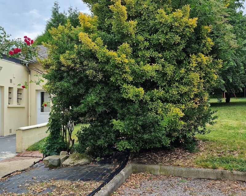 Maison familiale  atypique, gare de st Just en Chaussée - Façade maison