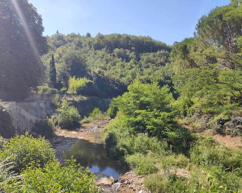 Immeuble de rapport avec 3 appartements loué.  - 358829956 1328071824794172 2328052137676835669 n